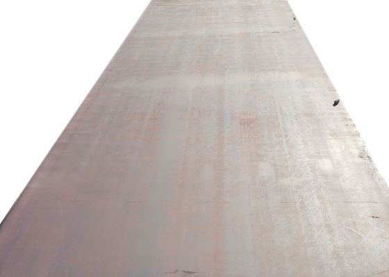 Anchura superficial revestida 1250m m de la placa de acero del recipiente del reactor P500QL2